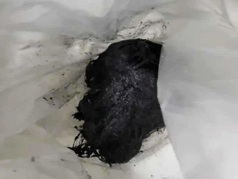 단양 배수구에서 빼낸 검은 머리카락 뭉치